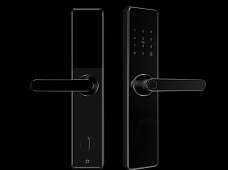 青松沃德-Wi-Fi 指紋鎖家用防盜門智能門鎖密碼鎖刷卡電子鎖 防磁干擾 防撬 L9-WT (不含鎖體，鎖體需另購）